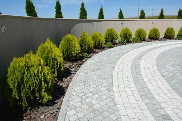 Best Interlocking Driveway Pavers  in Gilbert, MN